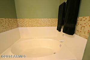 3039 Escuda Rd, Phoenix, AZ 85050 photo 20