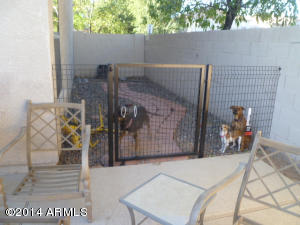 3037 S Mandy --, Mesa, AZ 85212 photo 20