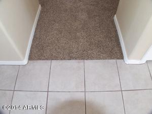 11323 E Cicero St, Mesa, AZ 85207 photo 27