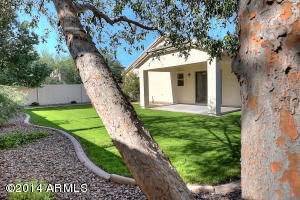 3319 E Joseph Way, Gilbert, AZ 85295 photo 18