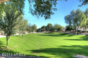 3319 E Joseph Way, Gilbert, AZ 85295 photo 20