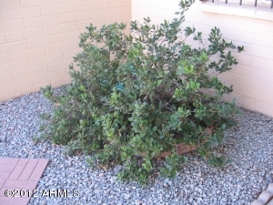 4328 E Capri Ave #153, Mesa, AZ 85206 photo 18