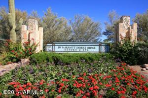3924 E Half Hitch Pl, Phoenix, AZ 85050 photo 41