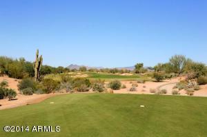 3924 E Half Hitch Pl, Phoenix, AZ 85050 photo 43