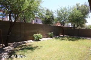 3924 E Half Hitch Pl, Phoenix, AZ 85050 photo 23