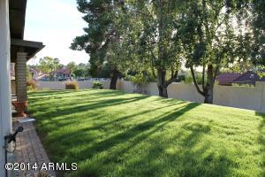1002 E Paradise Ln, Phoenix, AZ 85022 photo 18