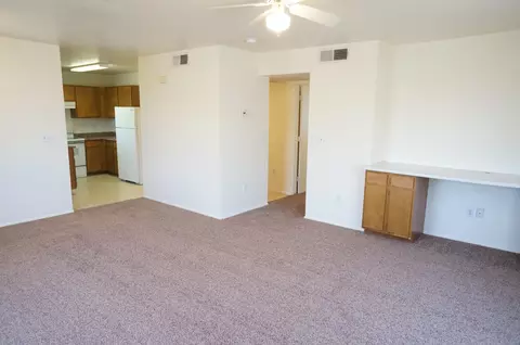 415 E Montebello Ave, Apache Junction, AZ 85119 photo 30