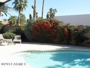 301 E Broadmoor Ct, Phoenix, AZ 85022 photo 13