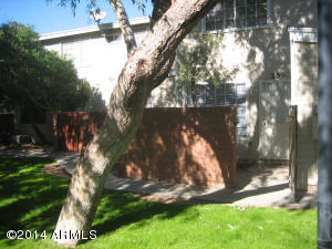 2301 E University Dr #239, Mesa, AZ 85213 photo 3