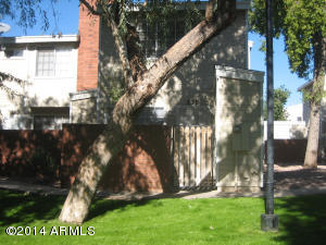 2301 E University Dr #239, Mesa, AZ 85213 photo 1