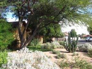 258 E Grandview St, Mesa, AZ 85201 photo 10