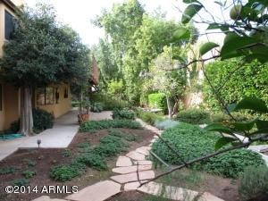 258 E Grandview St, Mesa, AZ 85201 photo 12