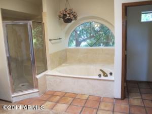 258 E Grandview St, Mesa, AZ 85201 photo 40