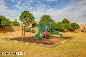 4555 E Villa Rita Dr, Phoenix, AZ 85032 photo 42
