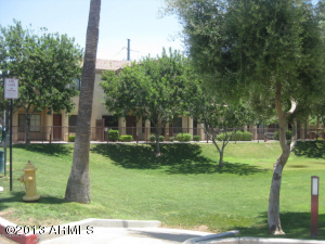 3150 E Beardsley Rd #1076, Phoenix, AZ 85050 photo 43