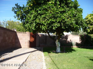 444 E Wesleyan Dr, Tempe, AZ 85282 photo 40