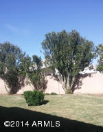 1864 E Palomino Dr, Gilbert, AZ 85296 photo 3