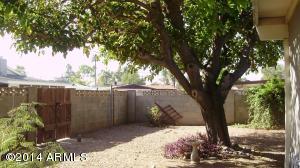 1125 E Malibu Dr, Tempe, AZ 85282 photo 9