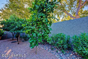 4700 E Desert Ln, Gilbert, AZ 85234 photo 55