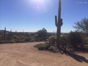 155 N Sunset Rd, Apache Junction, AZ 85119 photo 23