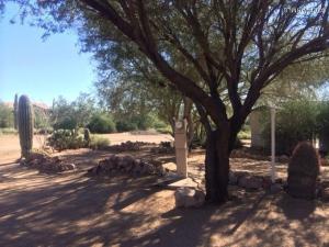 155 N Sunset Rd, Apache Junction, AZ 85119 photo 19