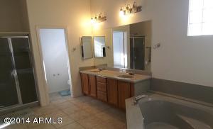 11413 Ellis St, Mesa, AZ 85207 photo 16