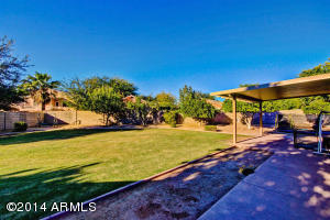 1776 E Robin Ct, Gilbert, AZ 85296 photo 53