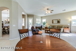 8719 E Hannibal St, Mesa, AZ 85207 photo 44