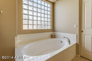 8719 E Hannibal St, Mesa, AZ 85207 photo 22