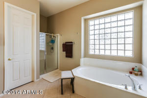 8719 E Hannibal St, Mesa, AZ 85207 photo 21