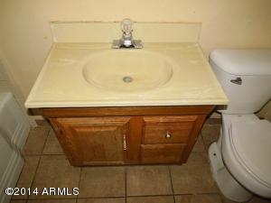 3014 E Diamond St, Phoenix, AZ 85008 photo 49