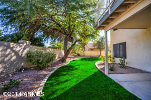1462 W Iris Dr, Gilbert, AZ 85233 photo 66