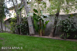 1340 E Maryland Ave, Phoenix, AZ 85014 photo 56