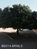 6305 E Des Moines St, Mesa, AZ 85205 photo 14