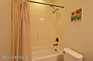 3616 E Abraham Ln, Phoenix, AZ 85050 photo 17
