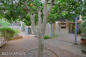 4725 E Brown Rd #46, Mesa, AZ 85205 photo 19