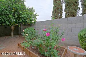 4725 E Brown Rd #46, Mesa, AZ 85205 photo 20
