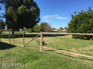 774 E Buffalo St, Gilbert, AZ 85295 photo 5