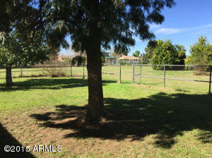 774 E Buffalo St, Gilbert, AZ 85295 photo 6