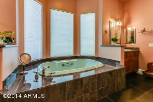 3509 E Knoll St, Mesa, AZ 85213 photo 35