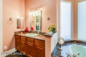 3509 E Knoll St, Mesa, AZ 85213 photo 36
