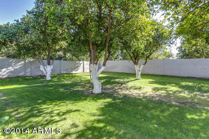 3509 E Knoll St, Mesa, AZ 85213 photo 44