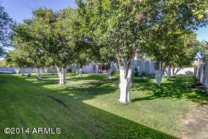 3509 E Knoll St, Mesa, AZ 85213 photo 47