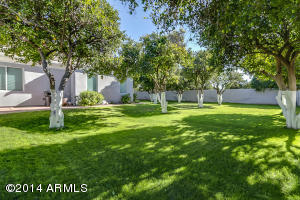 3509 E Knoll St, Mesa, AZ 85213 photo 50