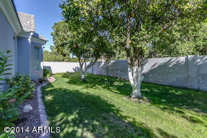 3509 E Knoll St, Mesa, AZ 85213 photo 46