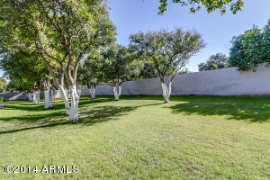 3509 E Knoll St, Mesa, AZ 85213 photo 48