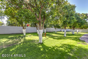 3509 E Knoll St, Mesa, AZ 85213 photo 45
