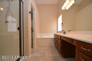 6224 E Snowdon St, Mesa, AZ 85215 photo 19