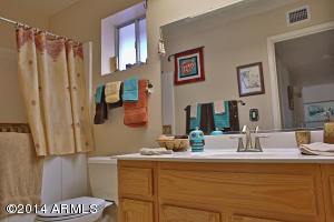 8341 E Navarro Ave, Mesa, AZ 85209 photo 13