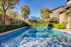 4049 E Page Ave, Gilbert, AZ 85234 photo 44